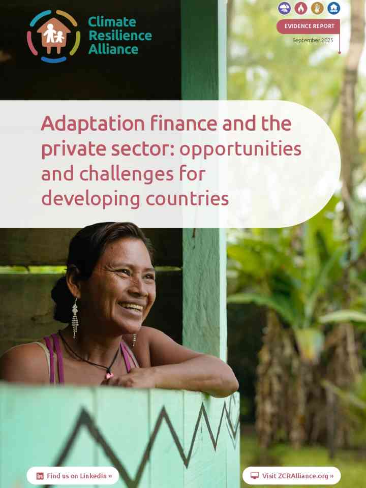 Adaptation finance and the private sector: opportunities and challenges for developing countries thumbnail