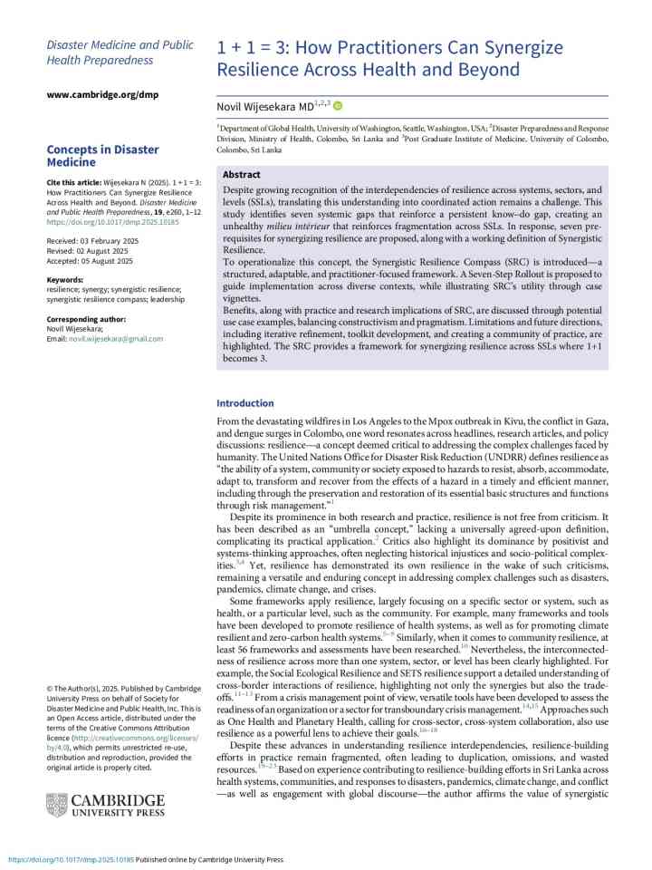 1 + 1 = 3: How practitioners can synergize resilience across Health and beyond thumbnail