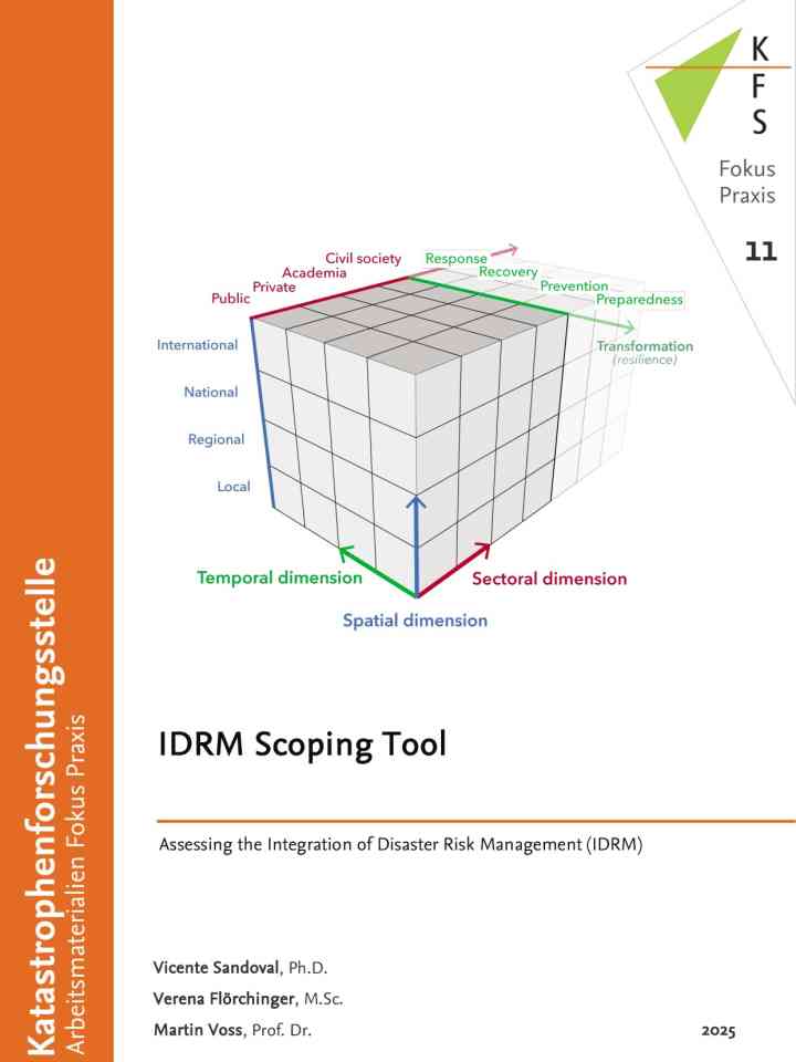 2025-scoping-tool_idrm.pdf thumbnail