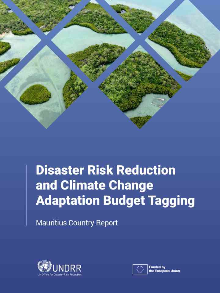 Disaster risk reduction and climate change adaption budget tagging- Mauritius country report thumbnail