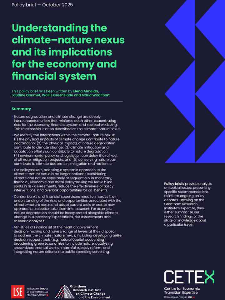 Understanding the climate–nature nexus and its implications for the economy and financial system thumbnail