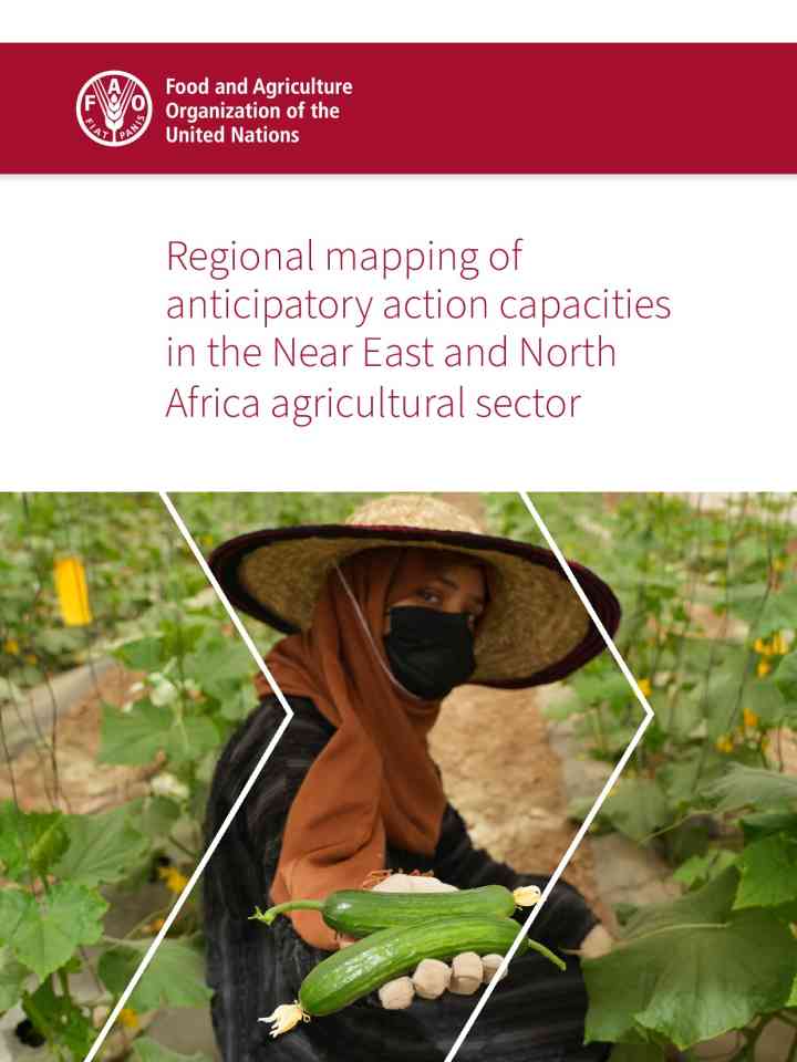 Regional mapping of anticipatory action capacities in the Near East and North Africa agricultural sector thumbnail