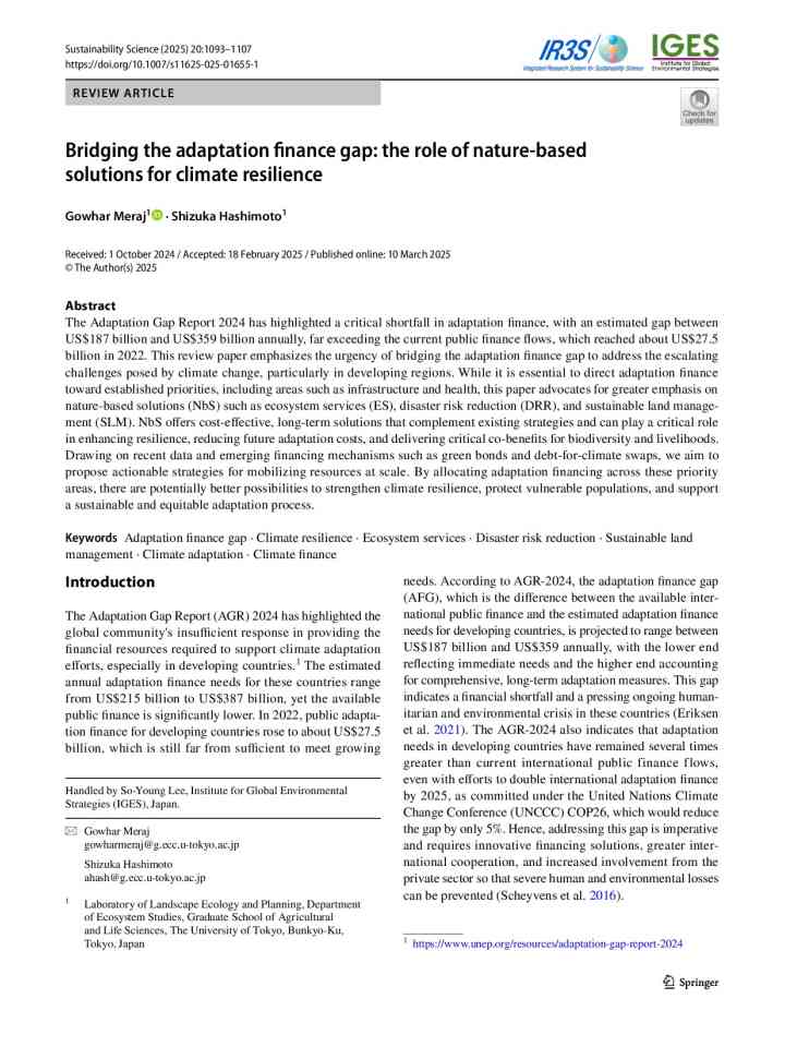 Bridging the adaptation finance gap: the role of nature-based solutions for climate resilience thumbnail