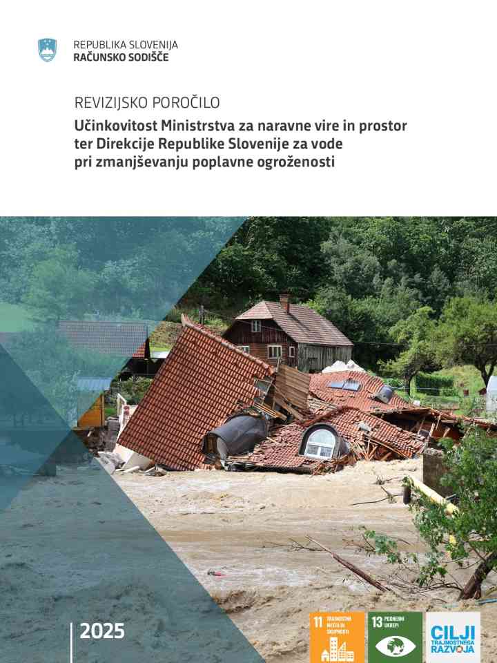 Učinkovitost Ministrstva za naravne vire in prostor ter Direkcije Republike Slovenije za vode pri zmanjševanju poplavne ogroženosti thumbnail