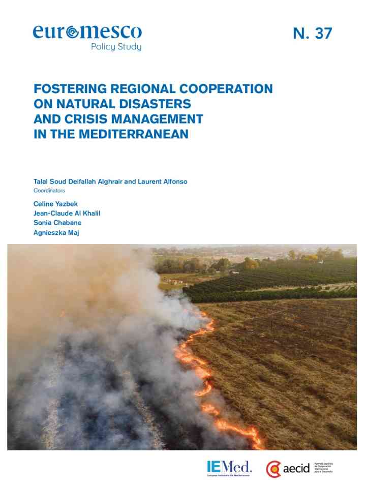 Fostering regional cooperation on natural disasters and crisis management in the Mediterranean thumbnail