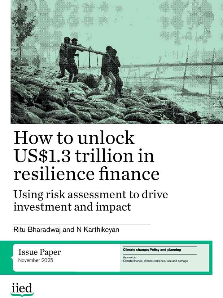 How to unlock US$1.3 trillion in resilience finance: using risk assessment to drive investment and impact thumbnail