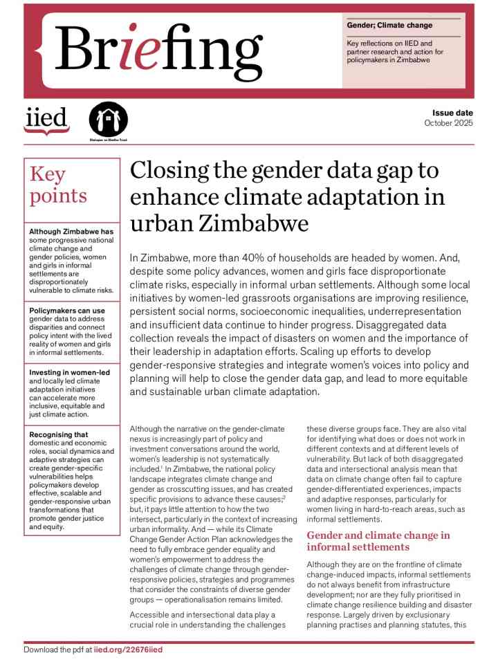 Closing the gender data gap to enhance climate adaptation in urban Zimbabwe thumbnail