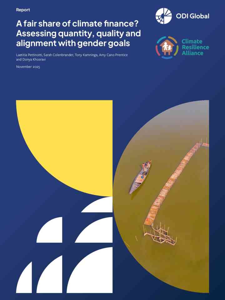 A fair share of climate finance? Assessing quantity, quality and alignment with gender goals thumbnail
