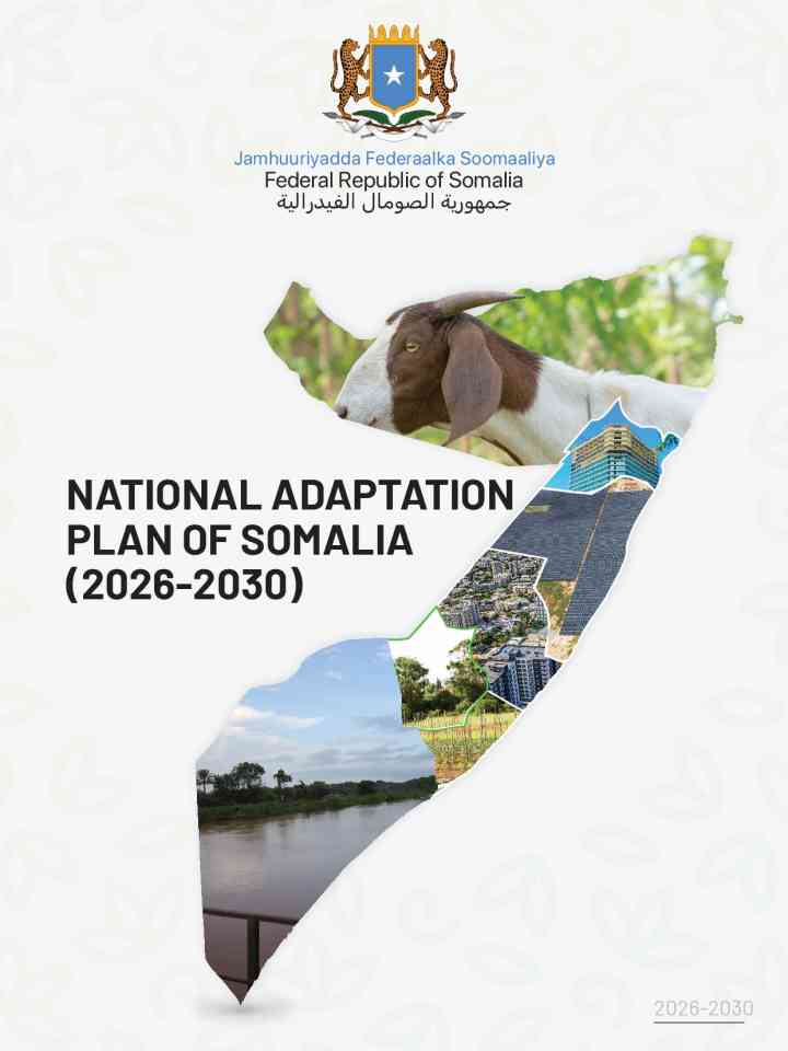 Somalia National Adaptation Plan thumbnail