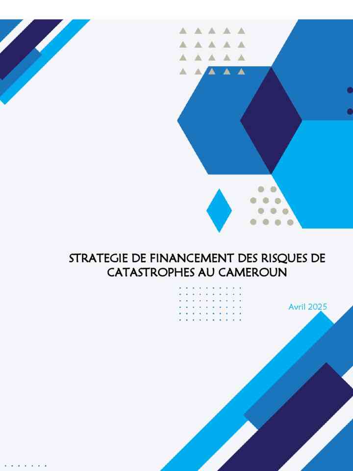 Cameroun: Stratégie de financement des risques de catastrophe thumbnail