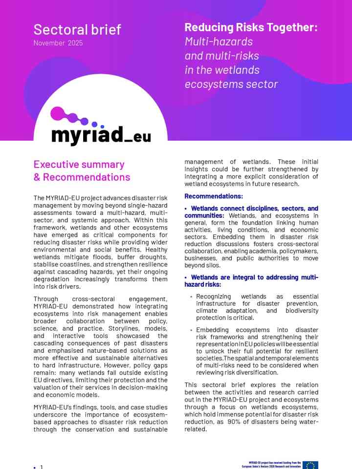 Reducing risks together: Multi-hazards and multi-risks in the wetlands ecosystems sector thumbnail