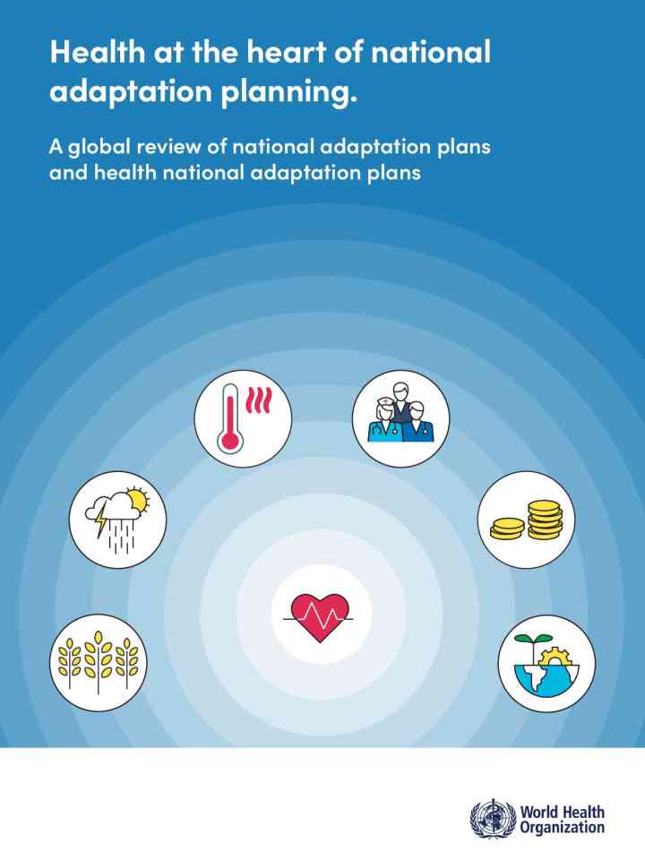 Health at the heart of national adaptation planning: A global review of national adaptation plans and health national adaptation plans thumbnail