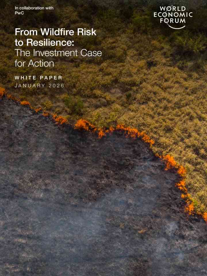 From wildfire risk to resilience: The investment case for action thumbnail