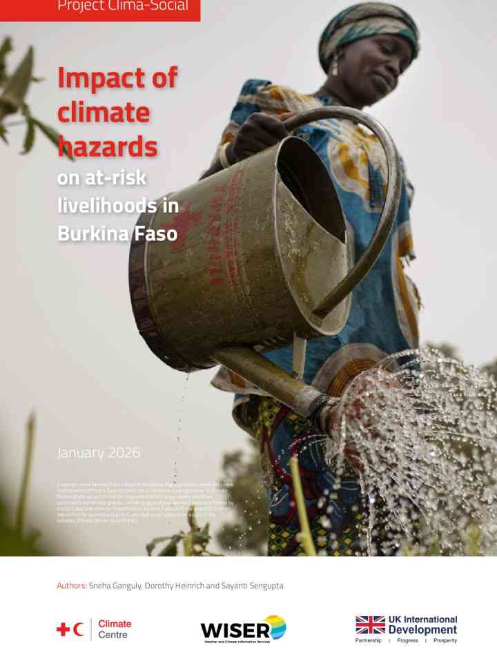 Ecosystem-based approaches to adaptation: Strengthening the evidence and informing policy. Research results from the ecosystems protecting infrastructure and communities project, Burkina Faso  thumbnail