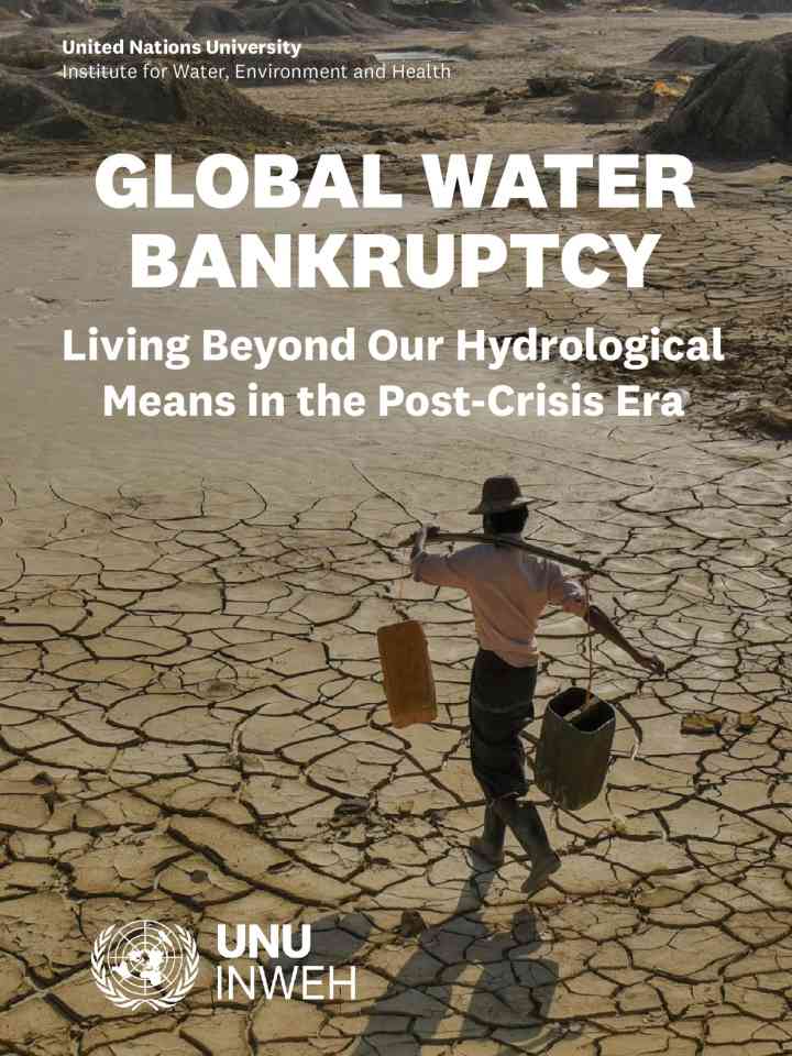 Global water bankruptcy: Living beyond our hydrological means in the post-crisis era thumbnail