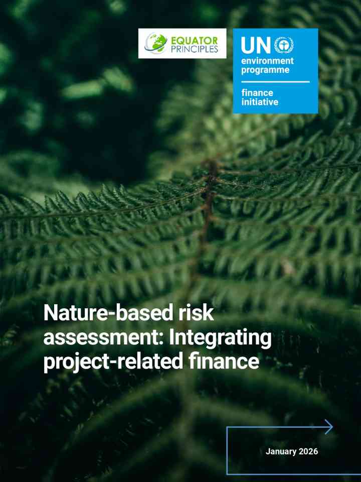Nature-based risk assessment: Integrating project-related finance thumbnail