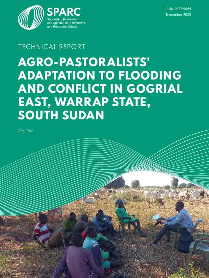 Agro-pastoralists' adaptation to flooding and conflict in Gogrial East, Warrap State, South Sudan – Technical report thumbnail