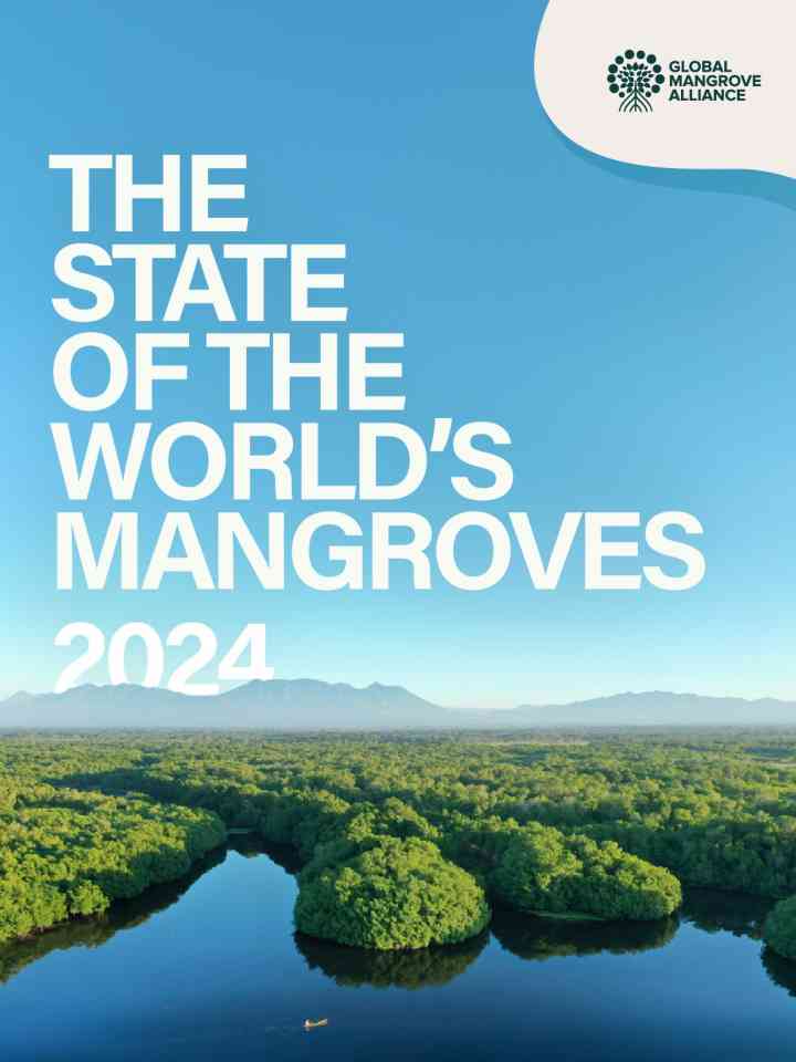 The State of the world’s mangroves 2024 thumbnail