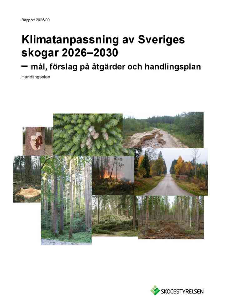 Swedish forestry agency: Second climate change adaptation plan for the Swedish forests thumbnail