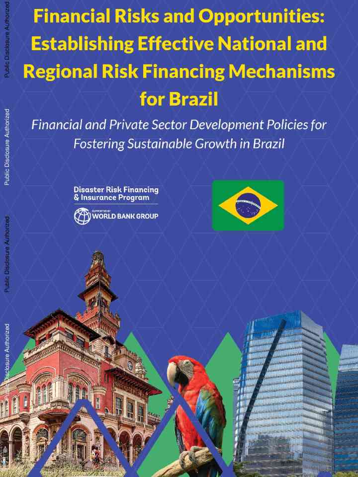 Financial risks and opportunities : Establishing effective national and regional risk financing mechanisms for Brazil - Financial and private sector development policies for fostering sustainable growth in Brazil thumbnail