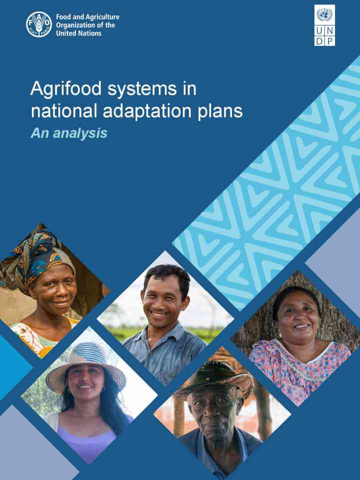 Agrifood systems in national adaptation plans thumbnail
