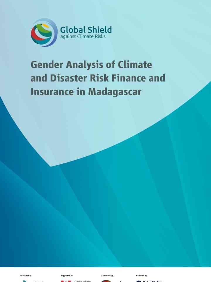 Gender analysis of climate and disaster risk finance and insurance in Madagascar thumbnail