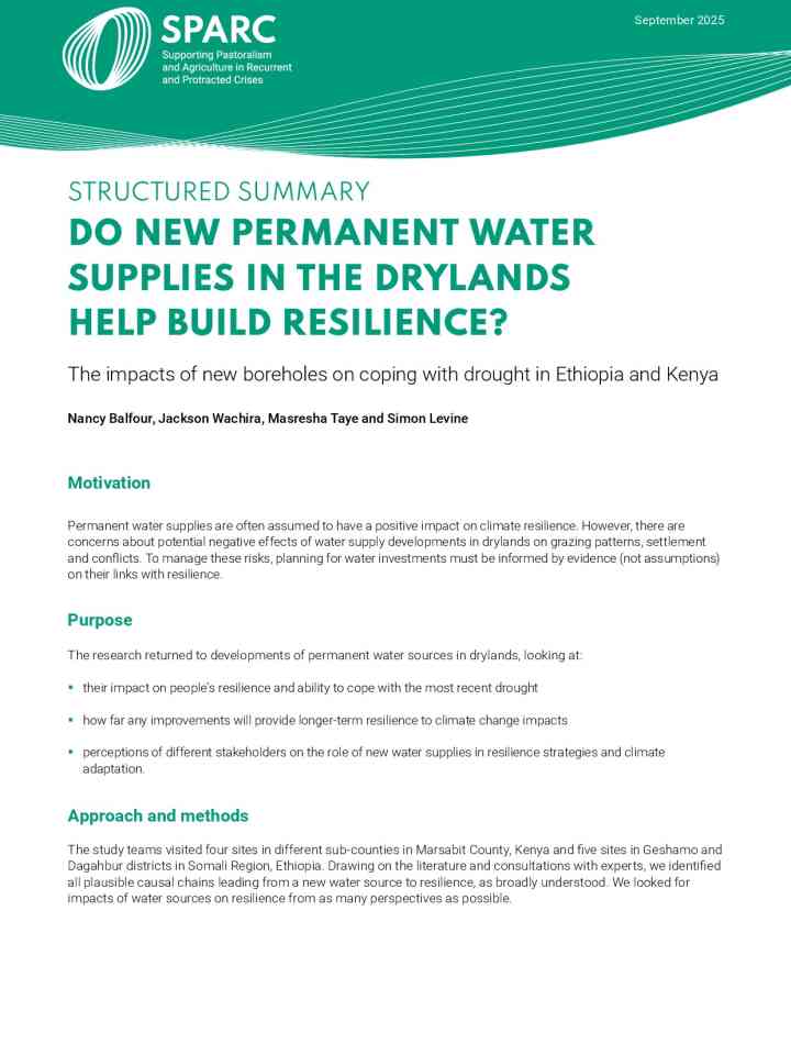 Do new permanent water supplies in the drylands help build resilience? The impacts of new boreholes on coping with drought in Ethiopia and Kenya thumbnail