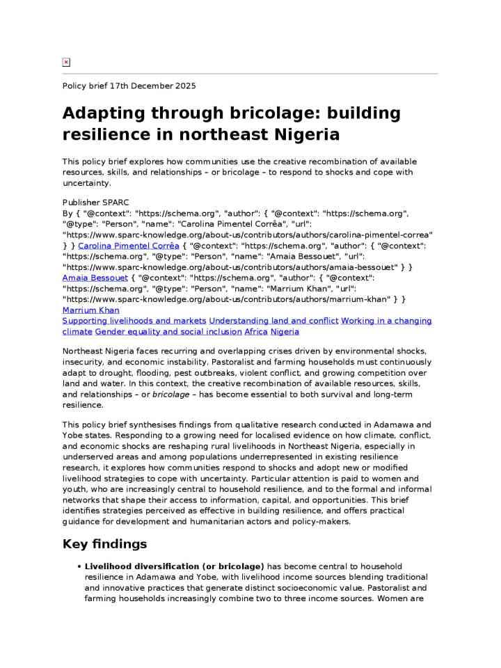 Adapting through bricolage: Building resilience in northeast Nigeria thumbnail