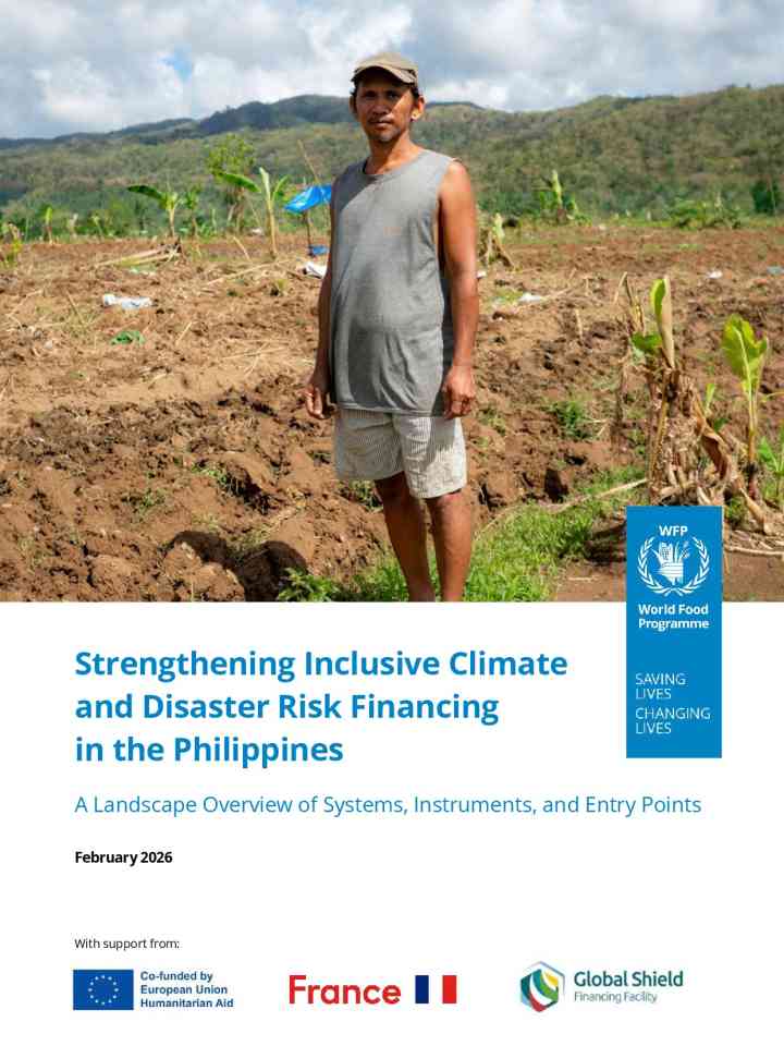 Strengthening inclusive climate and disaster risk financing in the Philippines: A landscape overview of systems, instruments, and entry points thumbnail