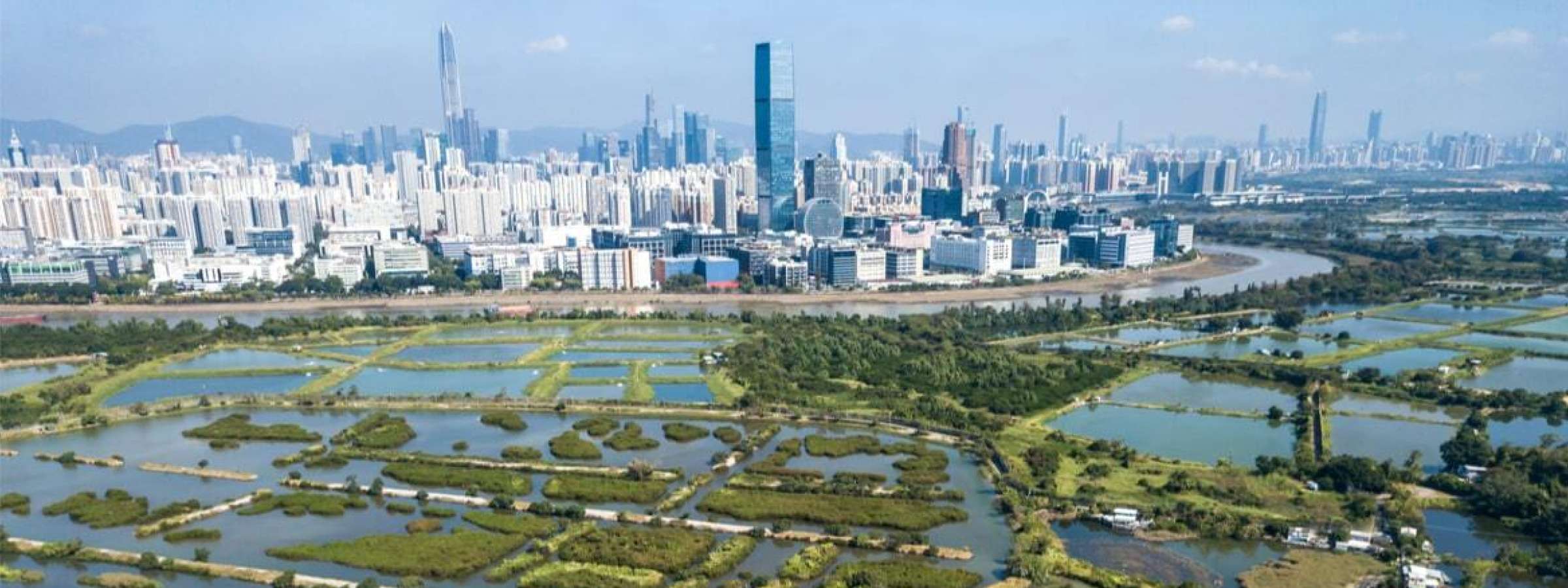 An aerial view of the Mai Po nature reserve beside Shenzen City, China