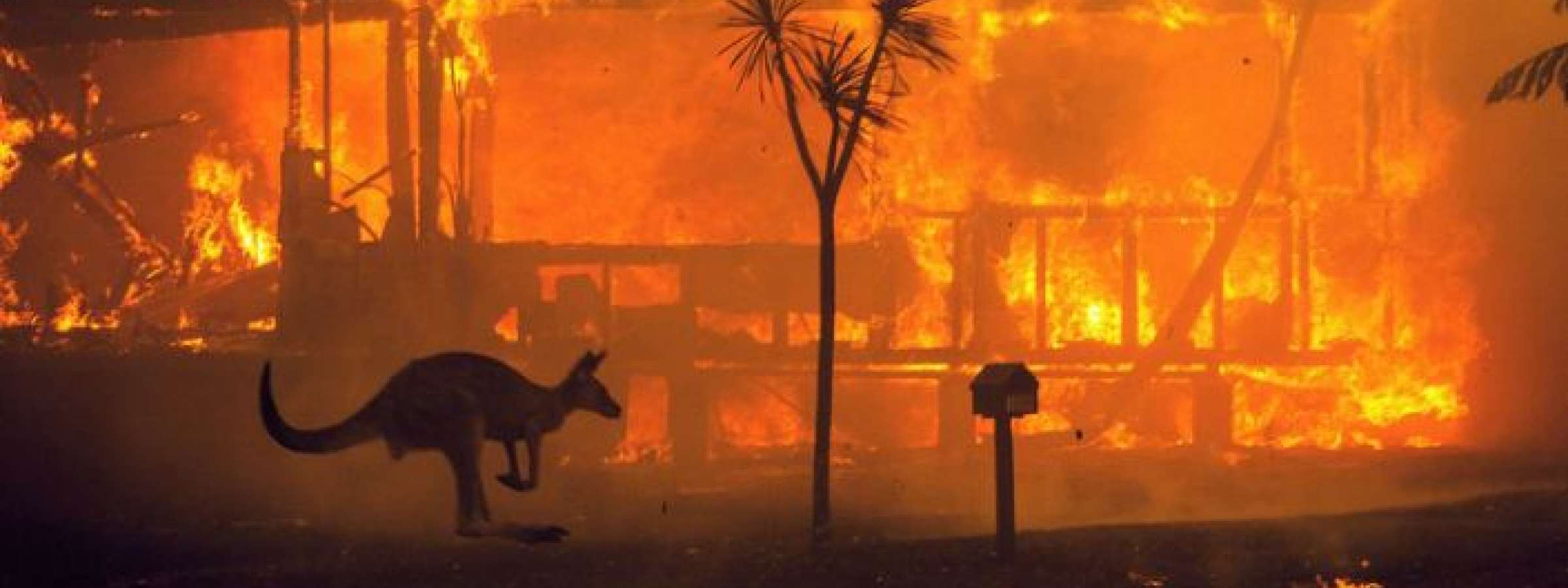 2019-20 Australian Bushfires