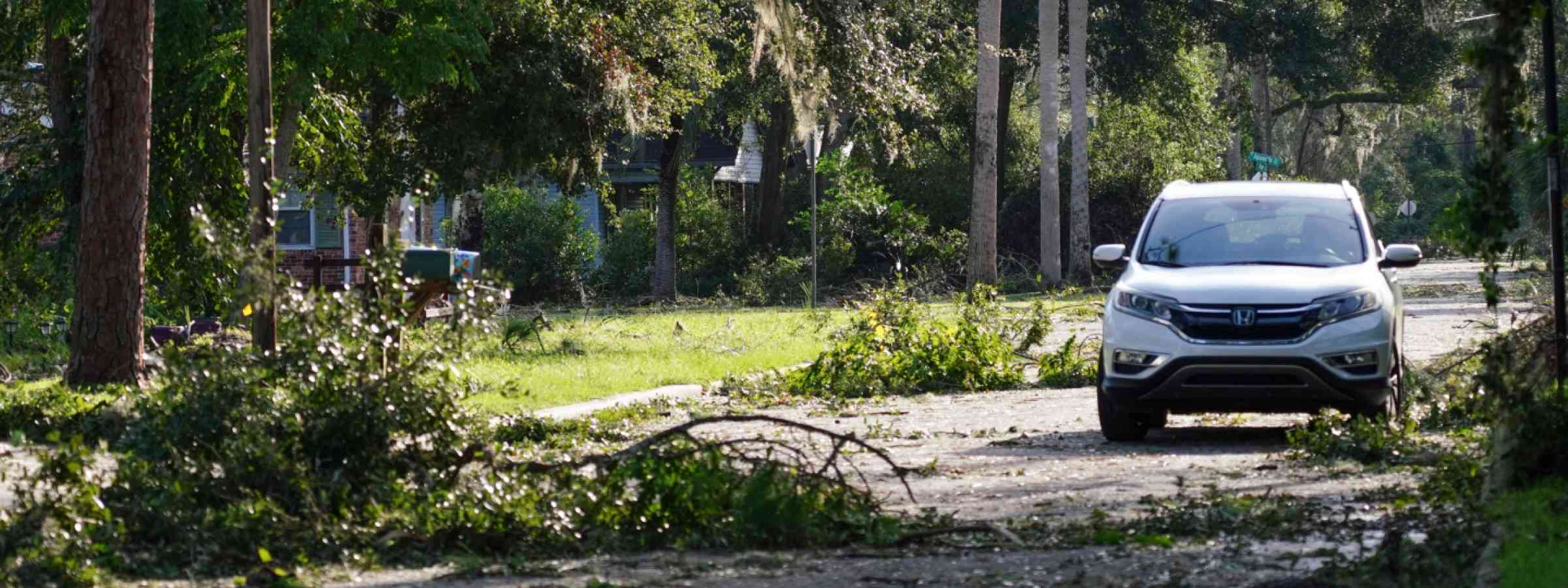 Toppled trees and power lines in Perry, Florida in the aftermath of Hurricane Helene, USA