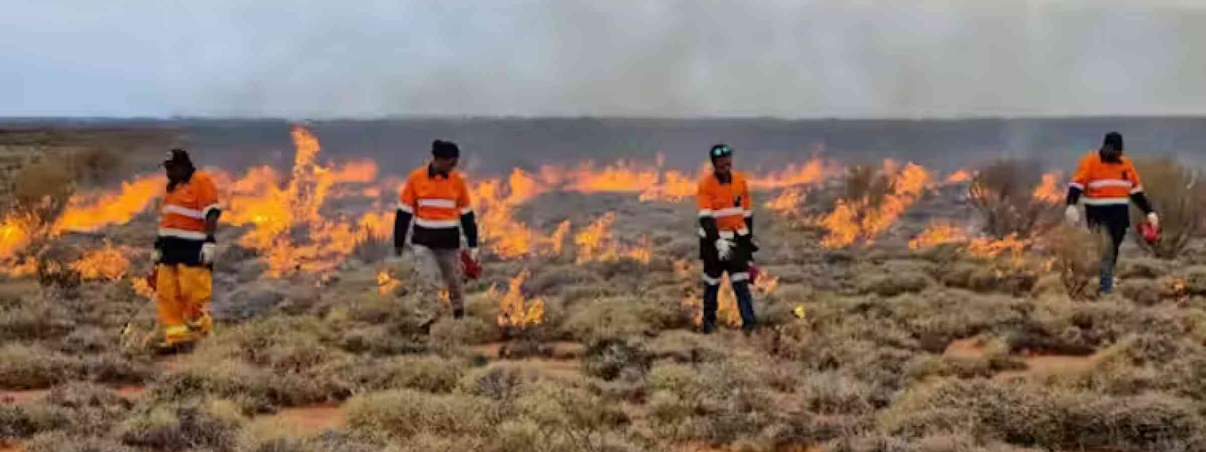 Indigenous Yika rangers start a controlled burning operation using drip torches in Australia