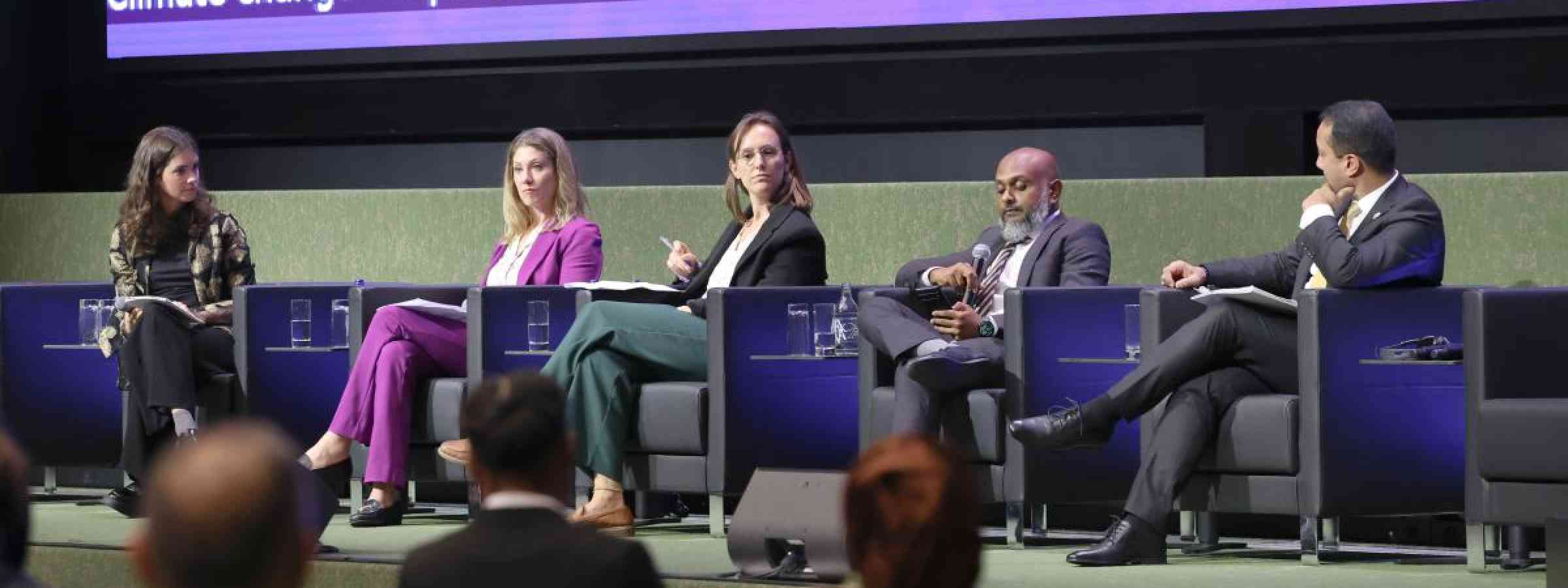 View of the panel during the “From Paris to Sendai: the Fundamental Connection of Climate and DRR” event
